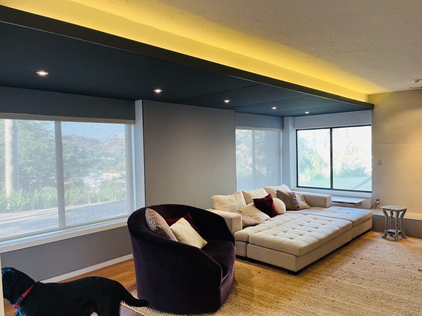 Acoustic Treatment for Homes & Residential | Better Sound Acoustics